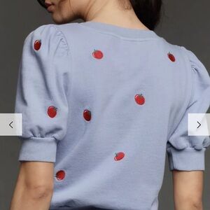 T.La Anthropologie Light Blue Knit Top Size 3X